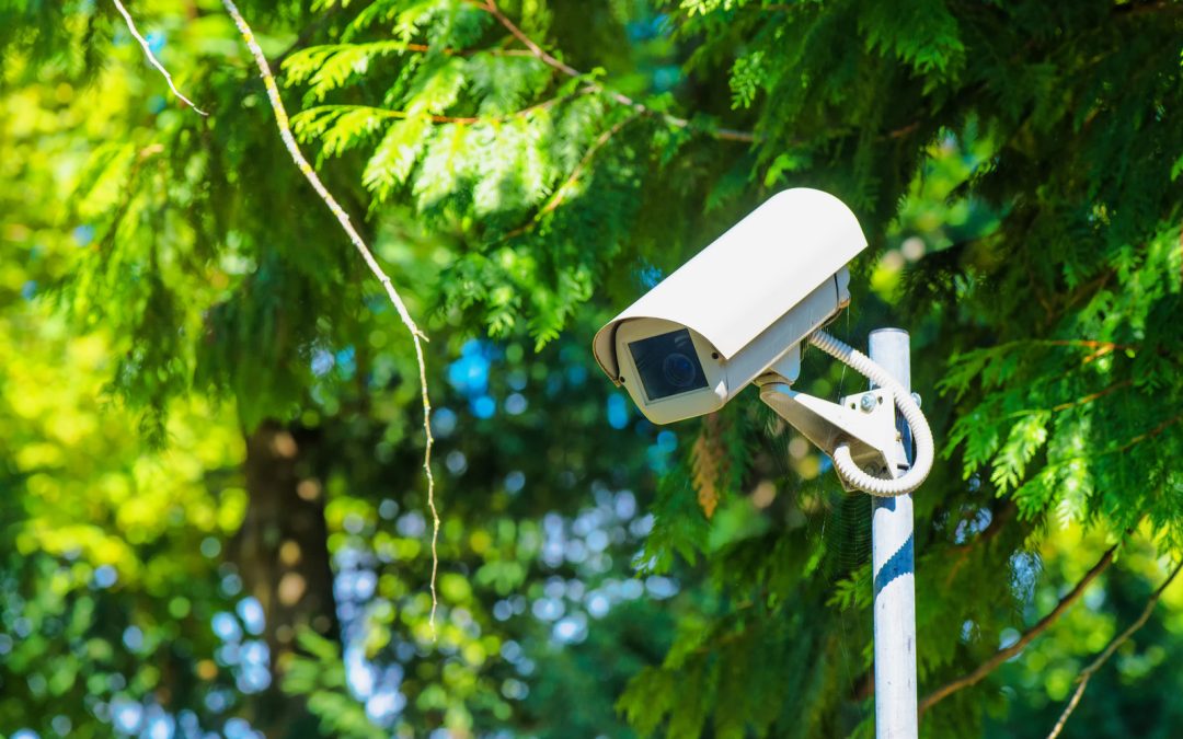 cctv security camera for surveillance in green park