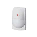 Motion Detectors