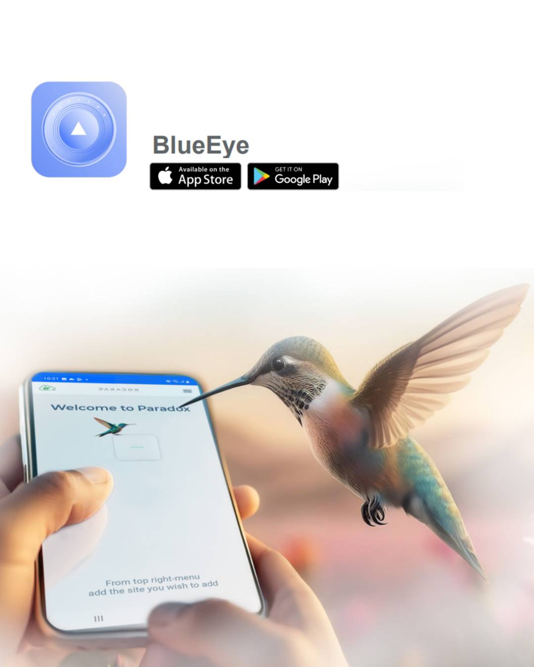 Blue Eye Phone App