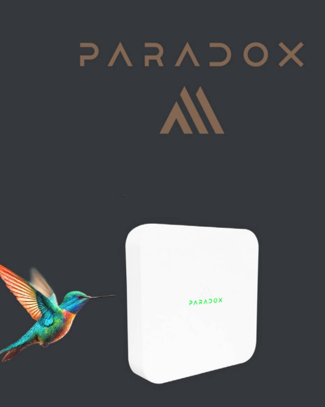Paradox M25 image 1st section